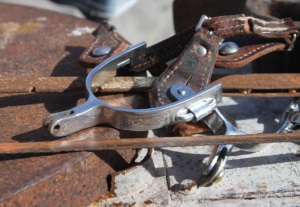 Uh-oh. I broke my friend's special spurs. 